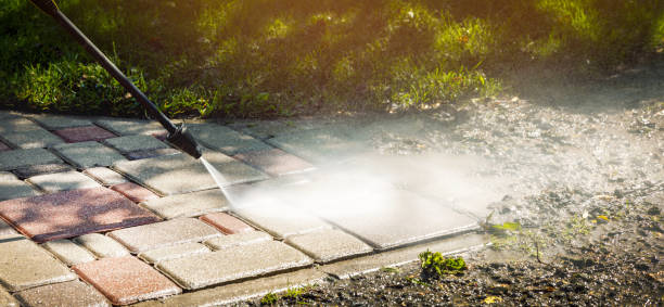 Best Gutter Cleaning  in Daisetta, TX